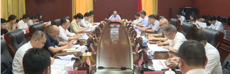 Vice Mayor Lai Wenwen Visits Northwest Street Drama Town to Guide Construction Work